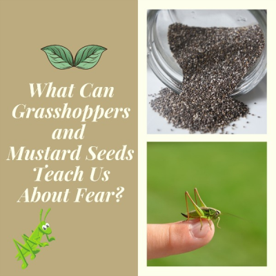 What Can Grasshoppers and Mustard Seeds Teach Us About Fear?